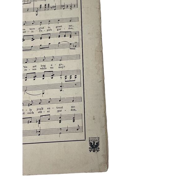 Creole Belles 1901 Sheet Music March Two Step J Bodewalt Lampe - Picture 7 of 10